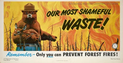 Anuncio de transporte público del oso Smokey "¡Nuestro desperdicio más vergonzoso! Recuerda: ¡Solo tú puedes PREVENIR INCENDIOS FORESTALES!"