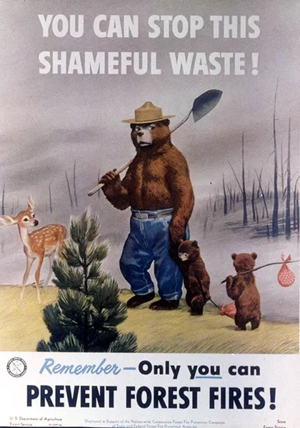 Cartel con el oso Smokey que dice: "Tú puedes detener este saqueo vergonzoso".