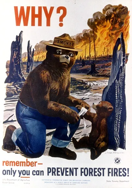 Cartel con el oso Smokey vendando la pata de un osito en un bosque incendiado, y se pregunta: "¿Por qué?