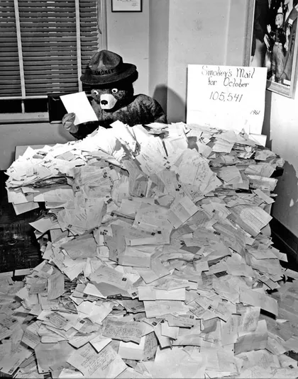 El oso Smokey leyendo las cartas que le han enviado por correo