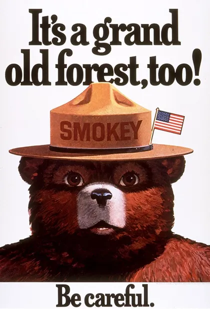 Imagen de Smokey con la bandera de Estados Unidos en su sombrero donde se lee: "¡También es un gran bosque antiguo! Ten cuidado".