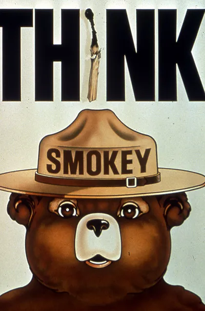 Cartel de Smokey que dice: "Piensa".