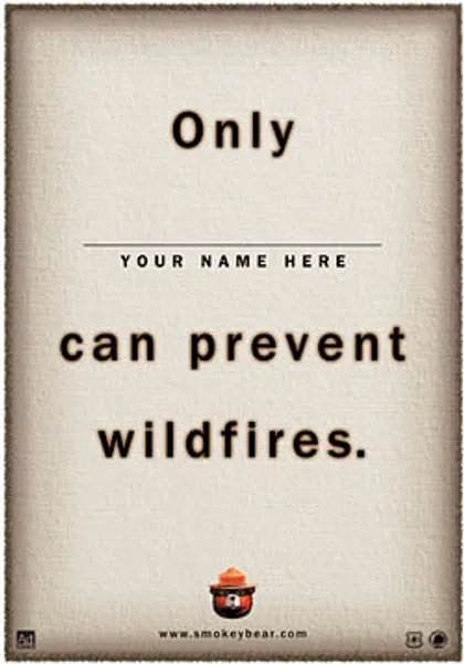 Cartel con espacio para poner tu nombre y comprometerte así a evitar incendios de manera más personal.