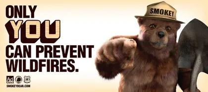 Un anuncio publicitario que dice: "¡Solo tú puedes prevenir los incendios forestales!".