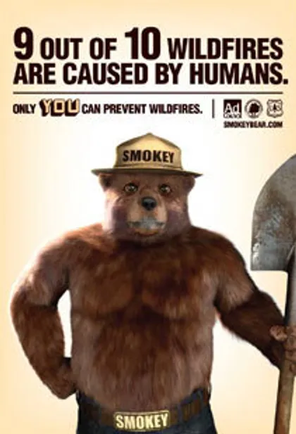Cartel que dice: "9 de cada 10 incendios en áreas naturales son causados por humanos".