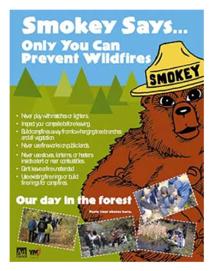 Póster infantil del oso Smokey