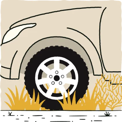 Vehículo estacionado sobre césped seco amarillo