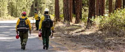 Firefighters walking in a forest