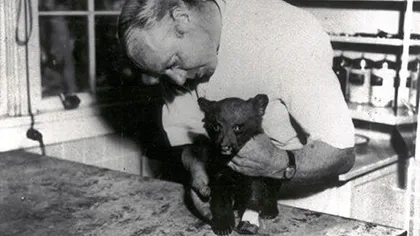 Doctor sosteniendo al cachorro Smokey