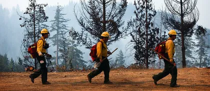 Bomberos caminando por un bosque