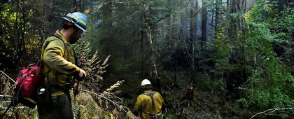 Bomberos en un bosque